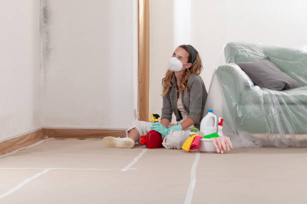 Reliable Mold Remediation contractor in Simpson, NC by Cheap Mold Removal